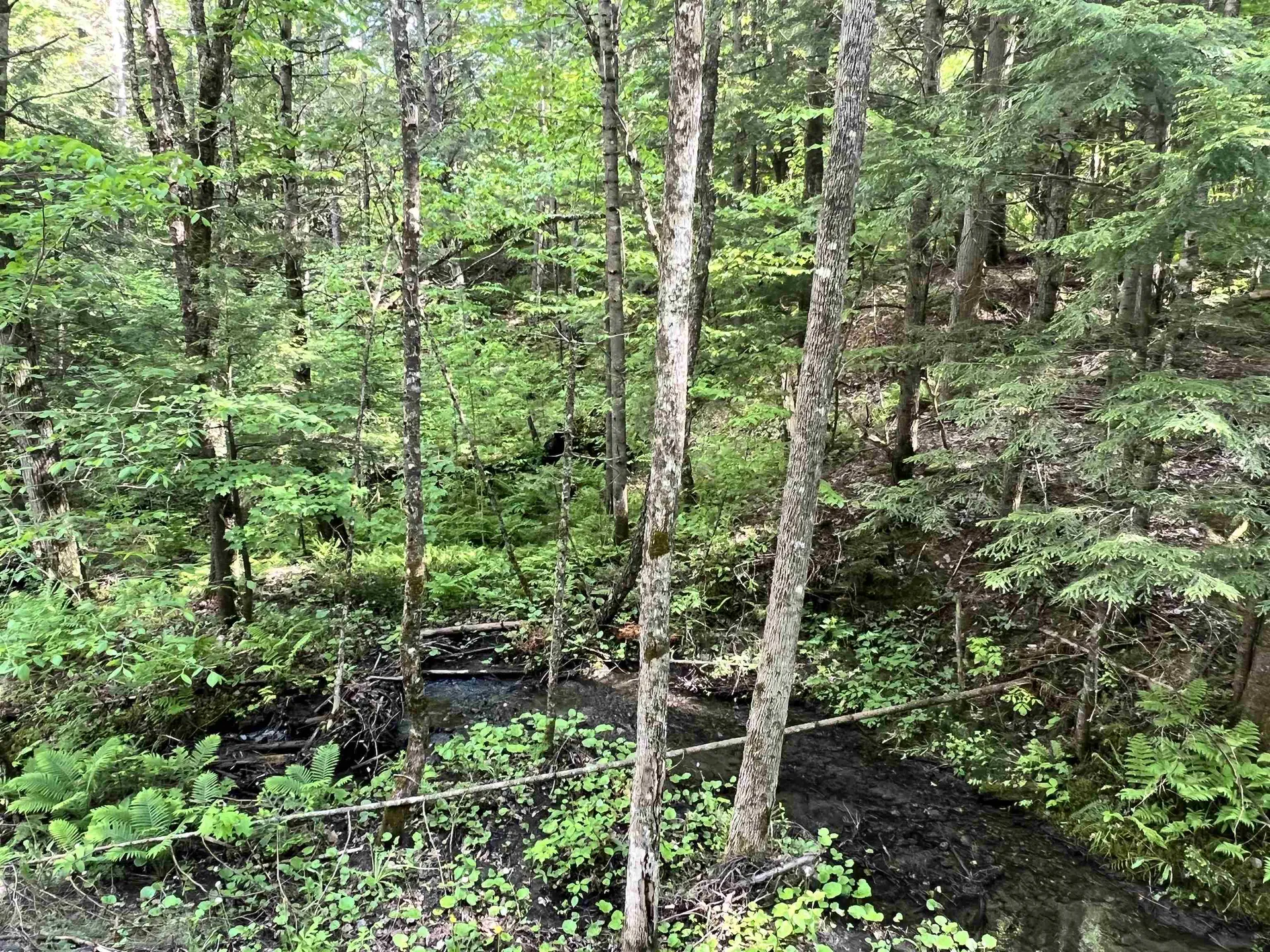 00 Hawkins Road Danville VT 05828