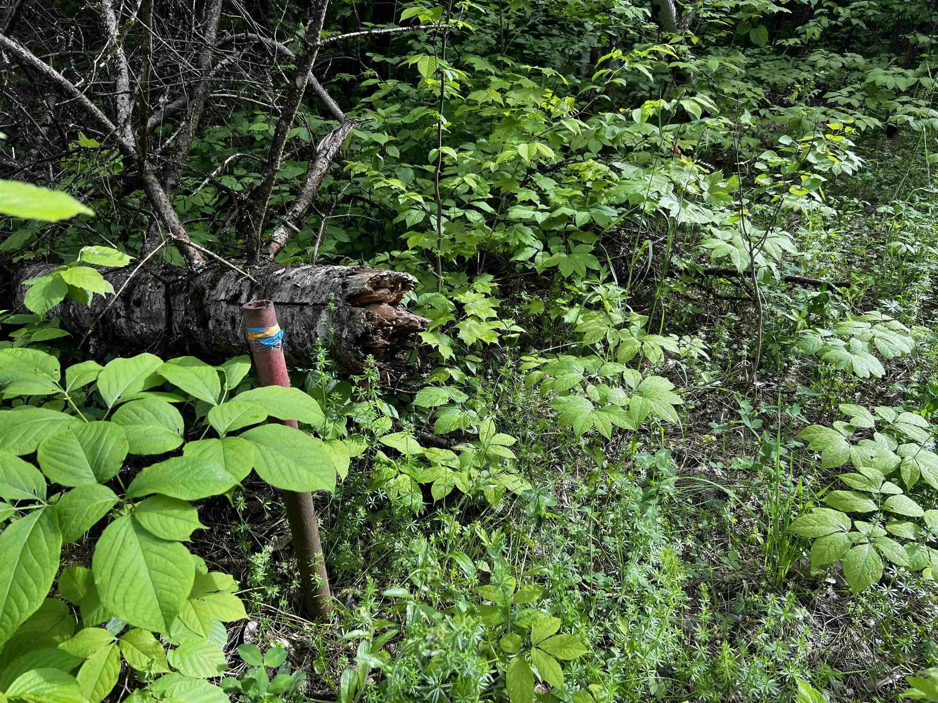 00 Hawkins Road Danville VT 05828