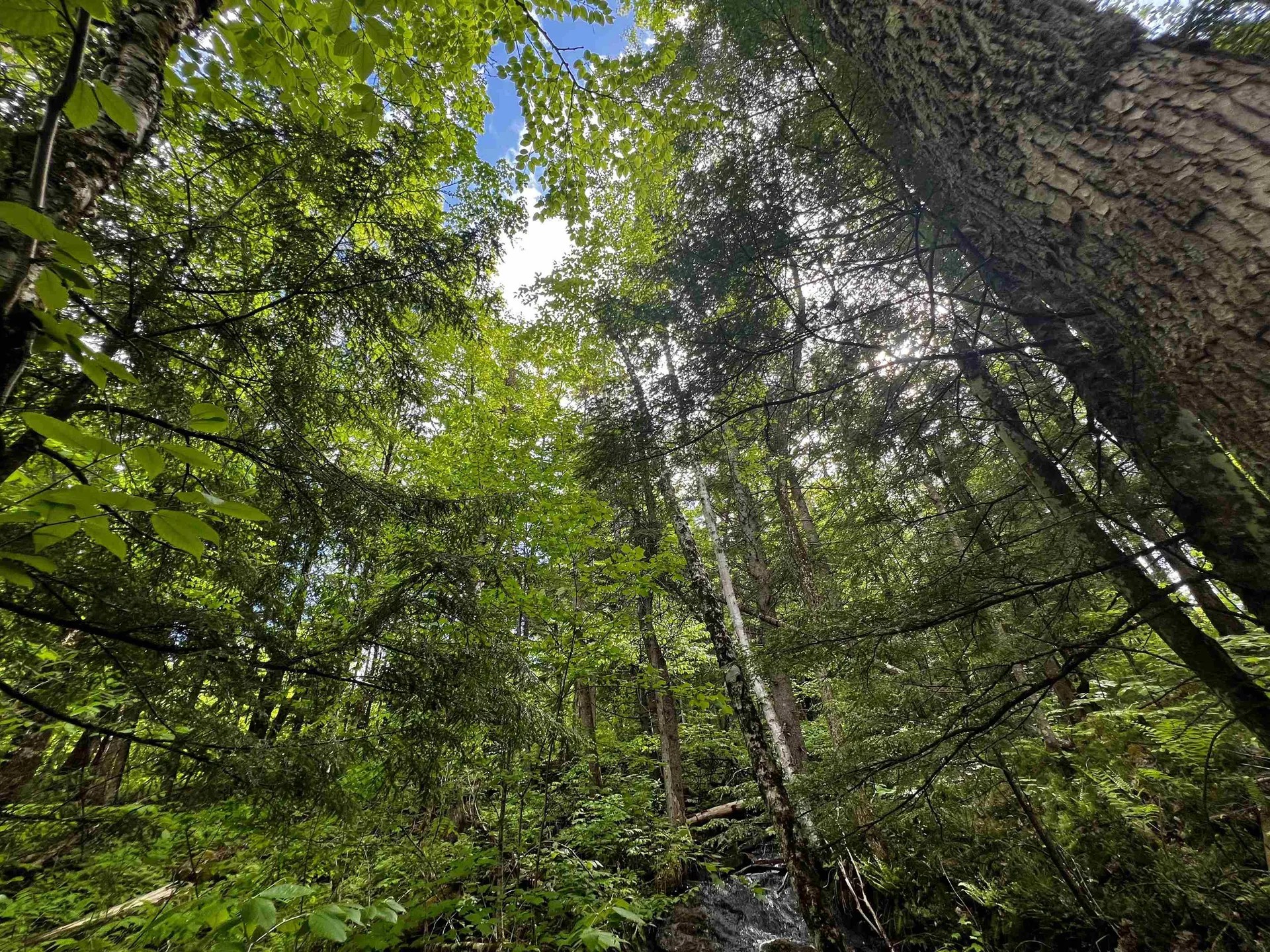 00 Hawkins Road Danville VT 05828