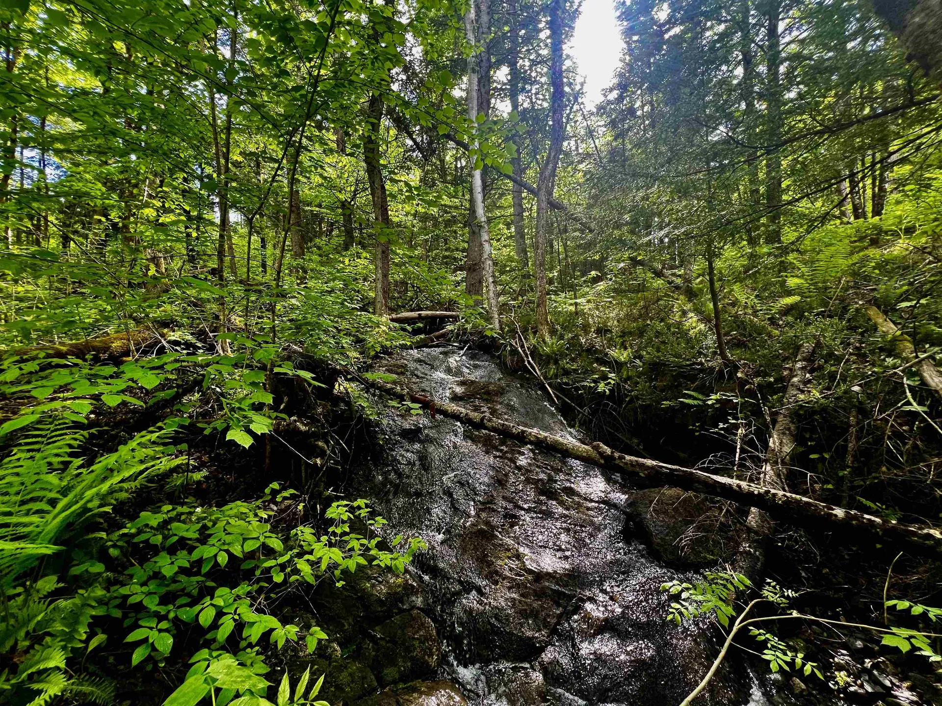 00 Hawkins Road Danville VT 05828