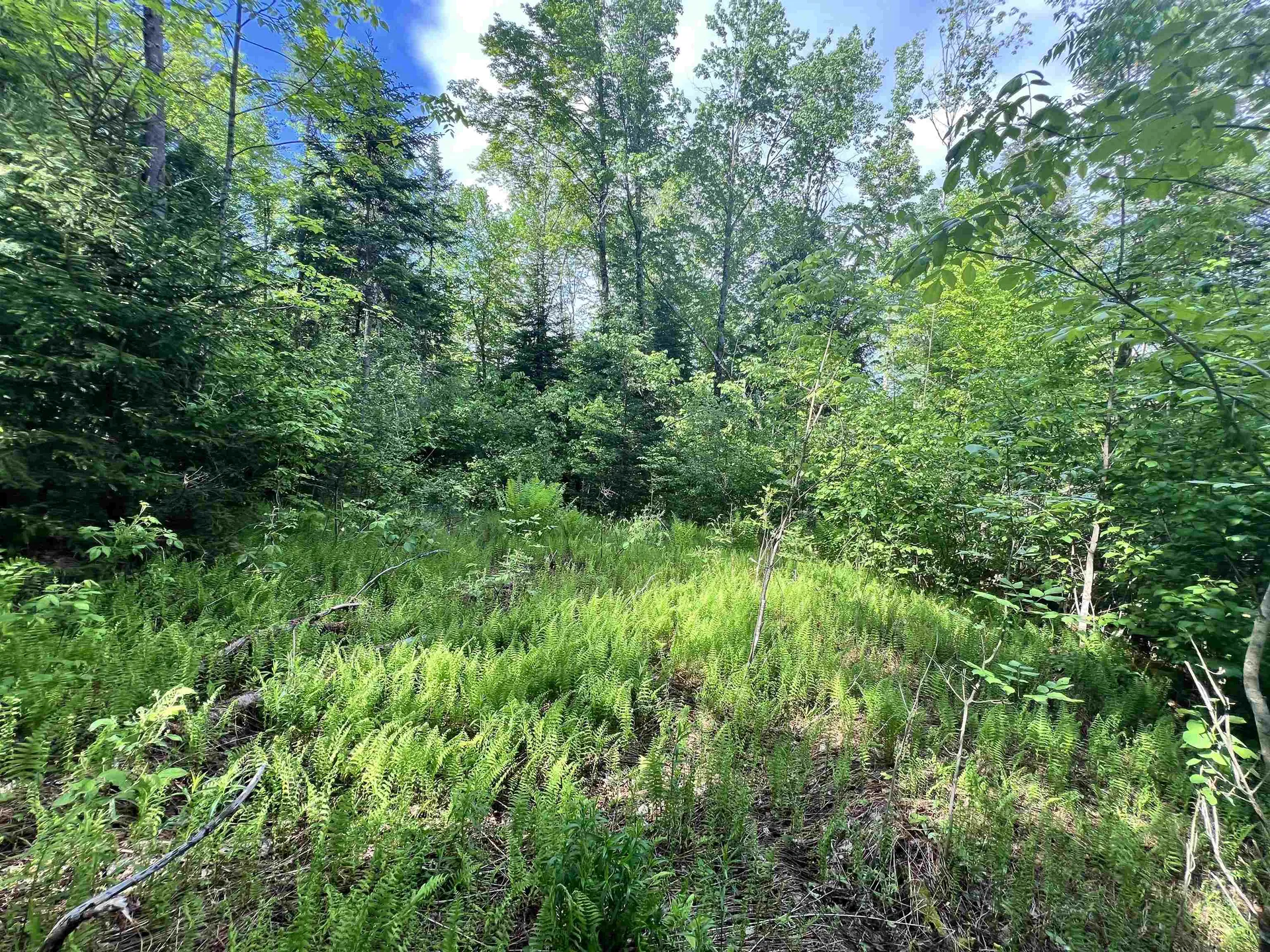 00 Hawkins Road Danville VT 05828