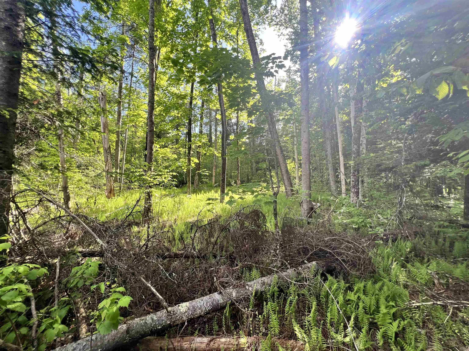 00 Hawkins Road Danville VT 05828