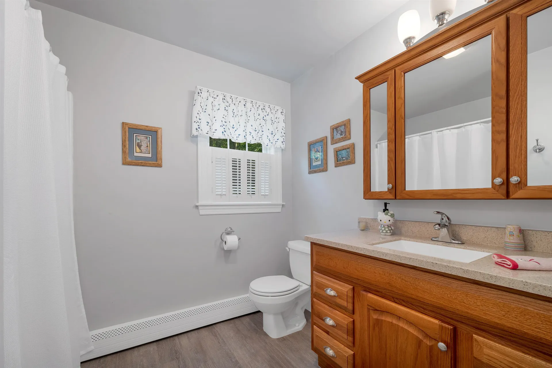 3 Dove Street Wolfeboro NH 03894