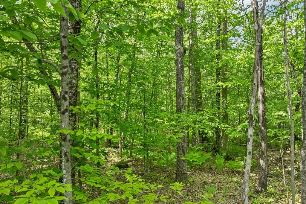 00 Old Mountain Road Moultonborough NH 03254