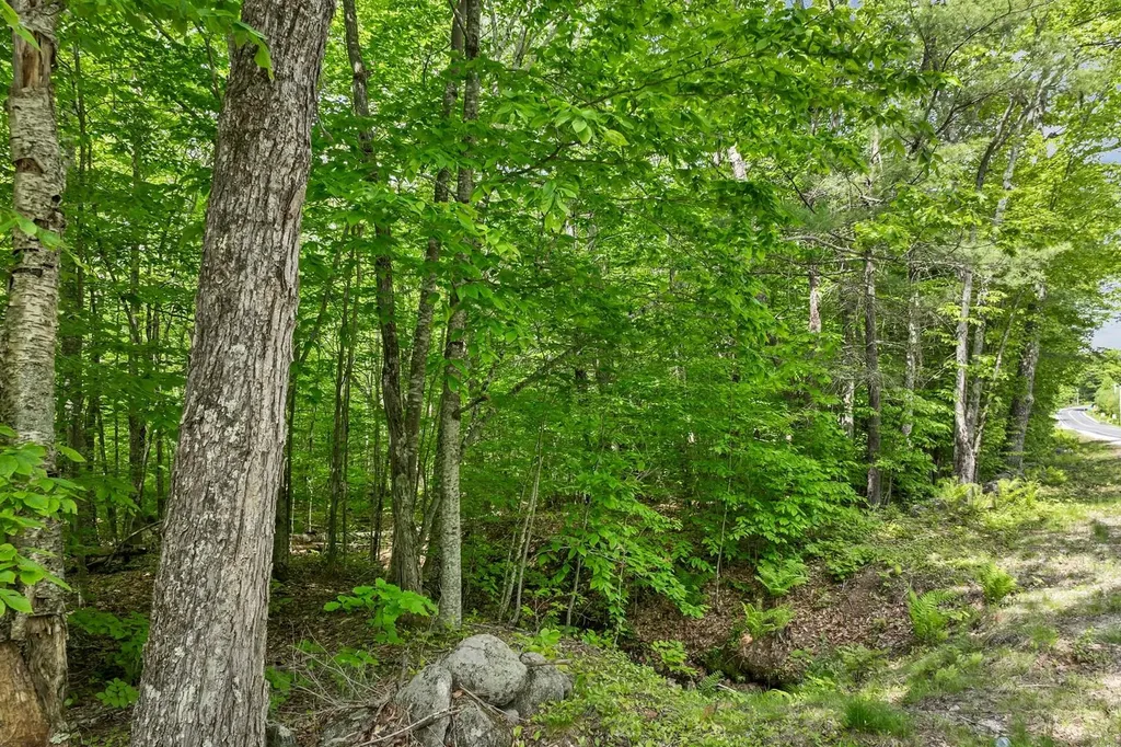 00 Old Mountain Road Moultonborough NH 03254
