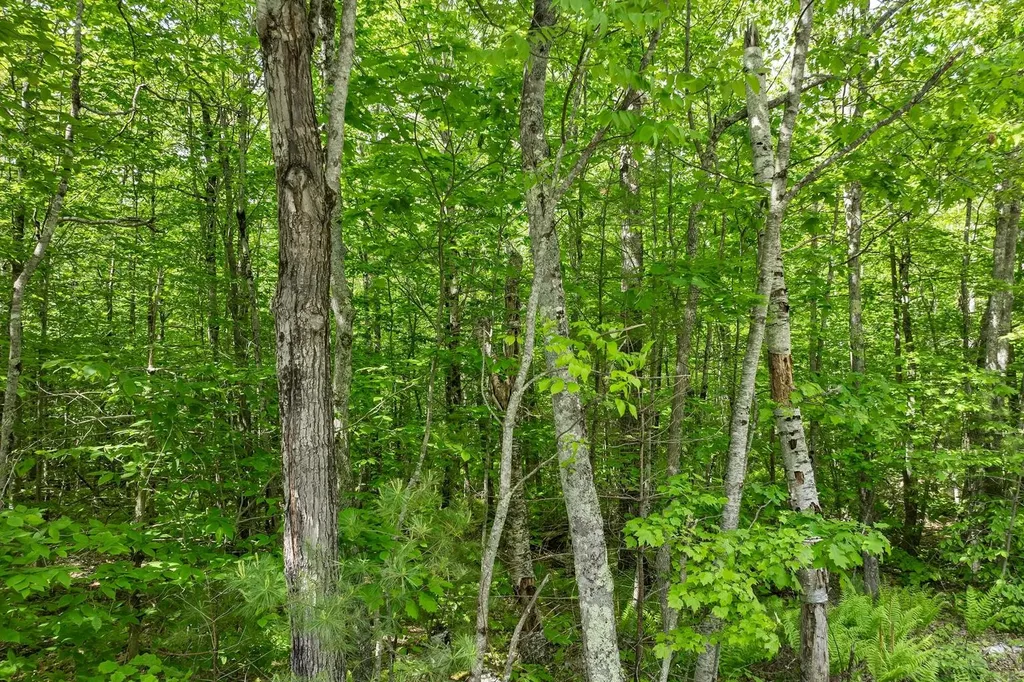 00 Old Mountain Road Moultonborough NH 03254
