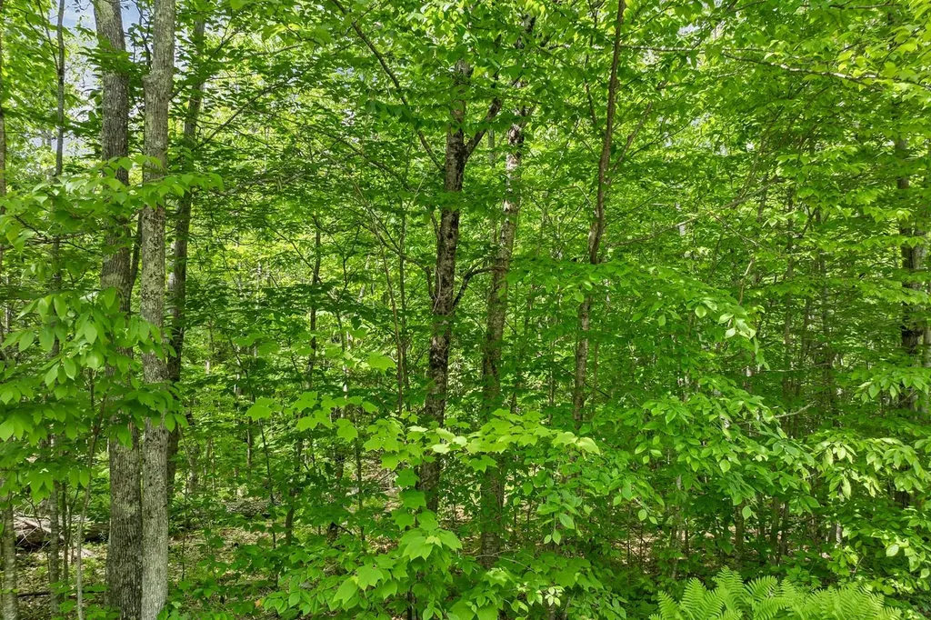 00 Old Mountain Road Moultonborough NH 03254