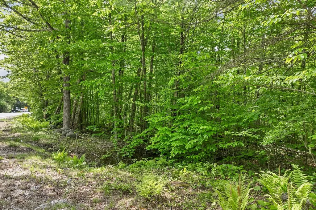 00 Old Mountain Road Moultonborough NH 03254
