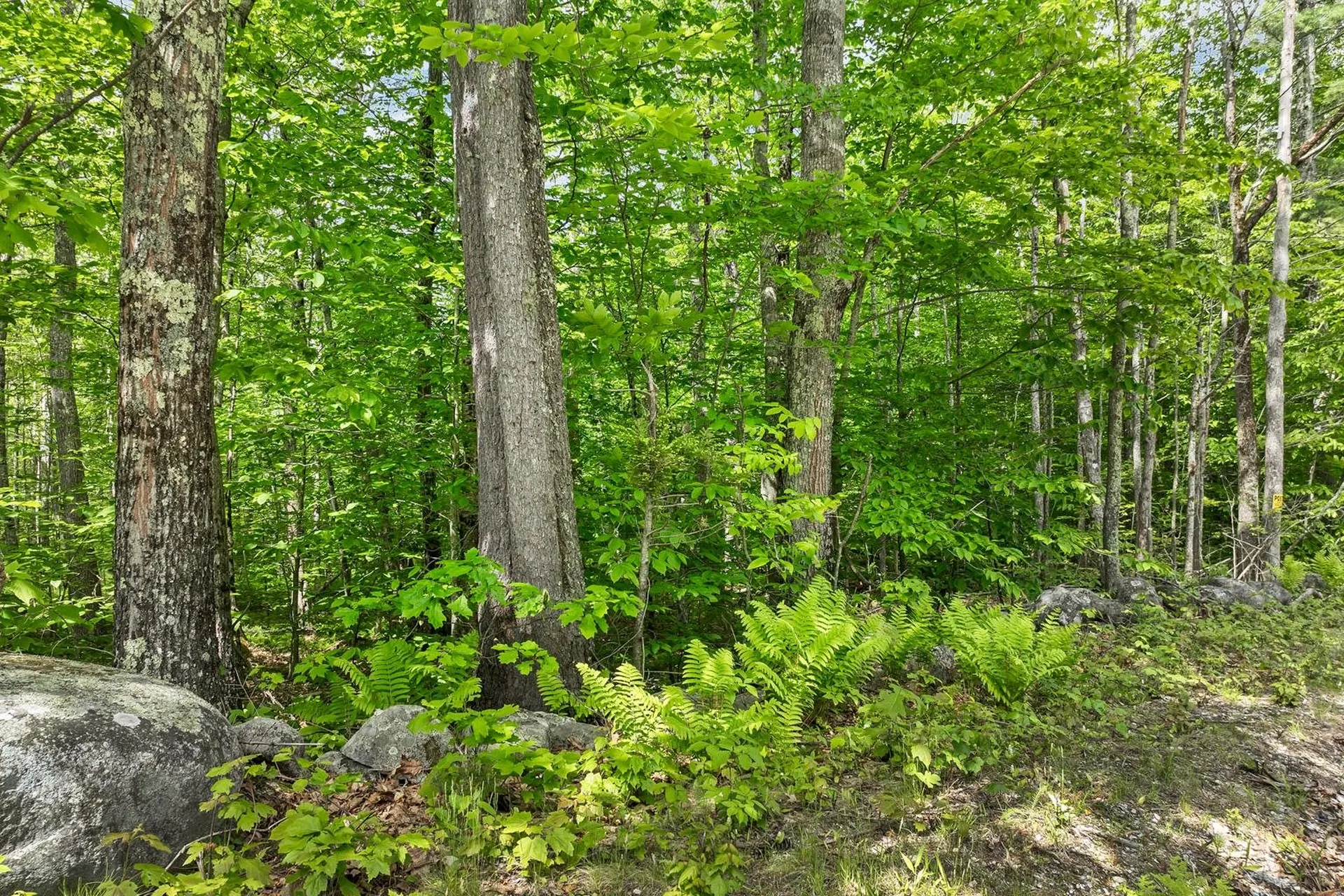 00 Old Mountain Road Moultonborough NH 03254