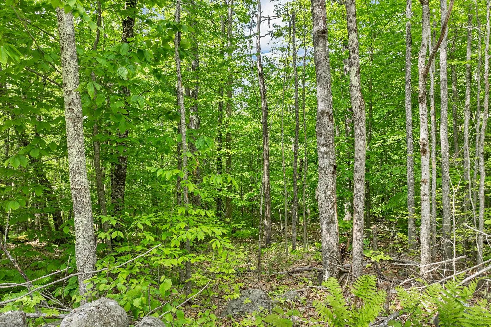 00 Old Mountain Road Moultonborough NH 03254