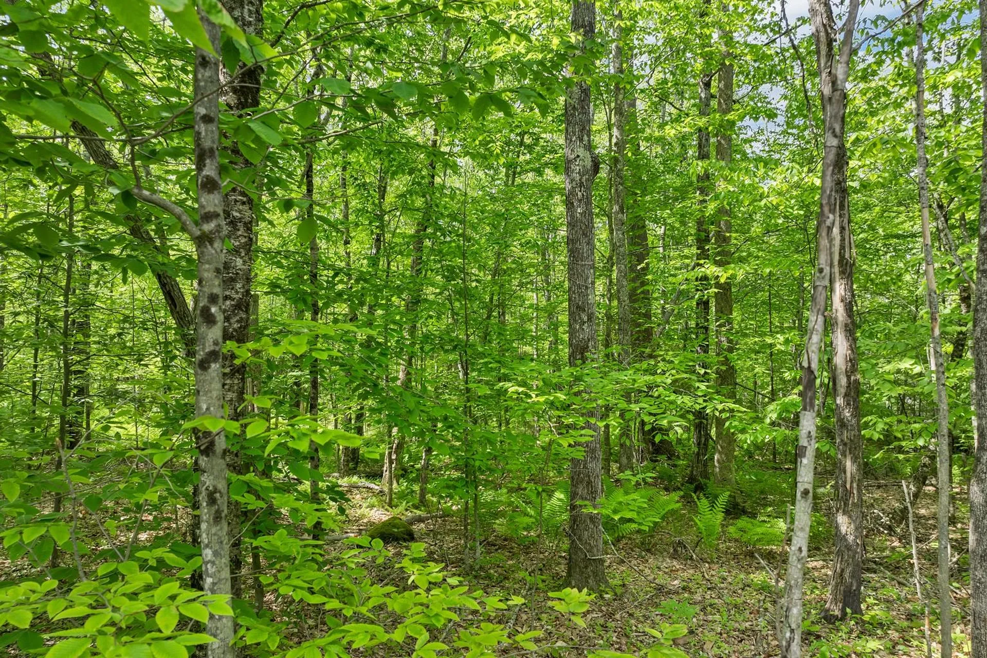 00 Old Mountain Road Moultonborough NH 03254