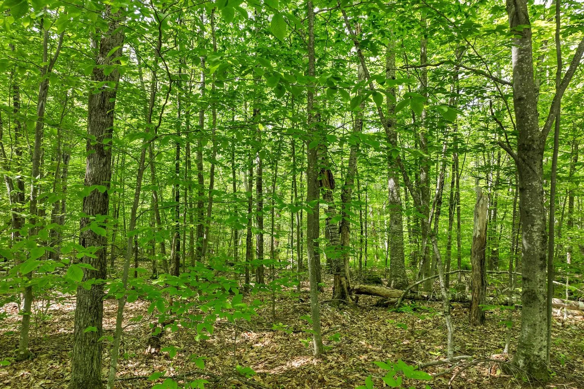 00 Old Mountain Road Moultonborough NH 03254