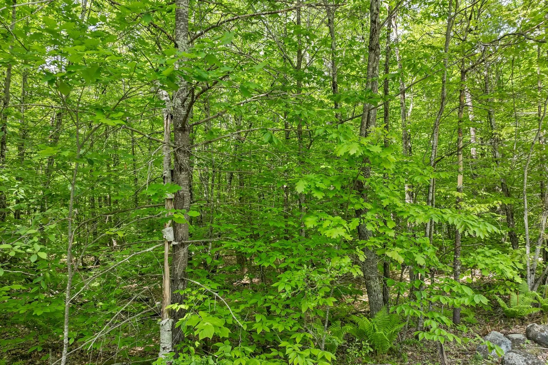 00 Old Mountain Road Moultonborough NH 03254