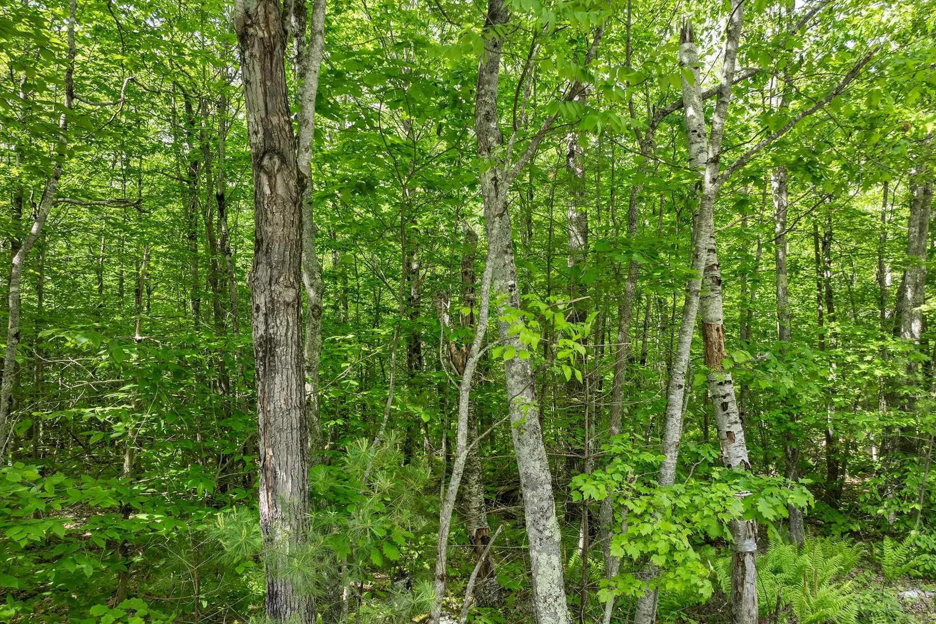 00 Old Mountain Road Moultonborough NH 03254