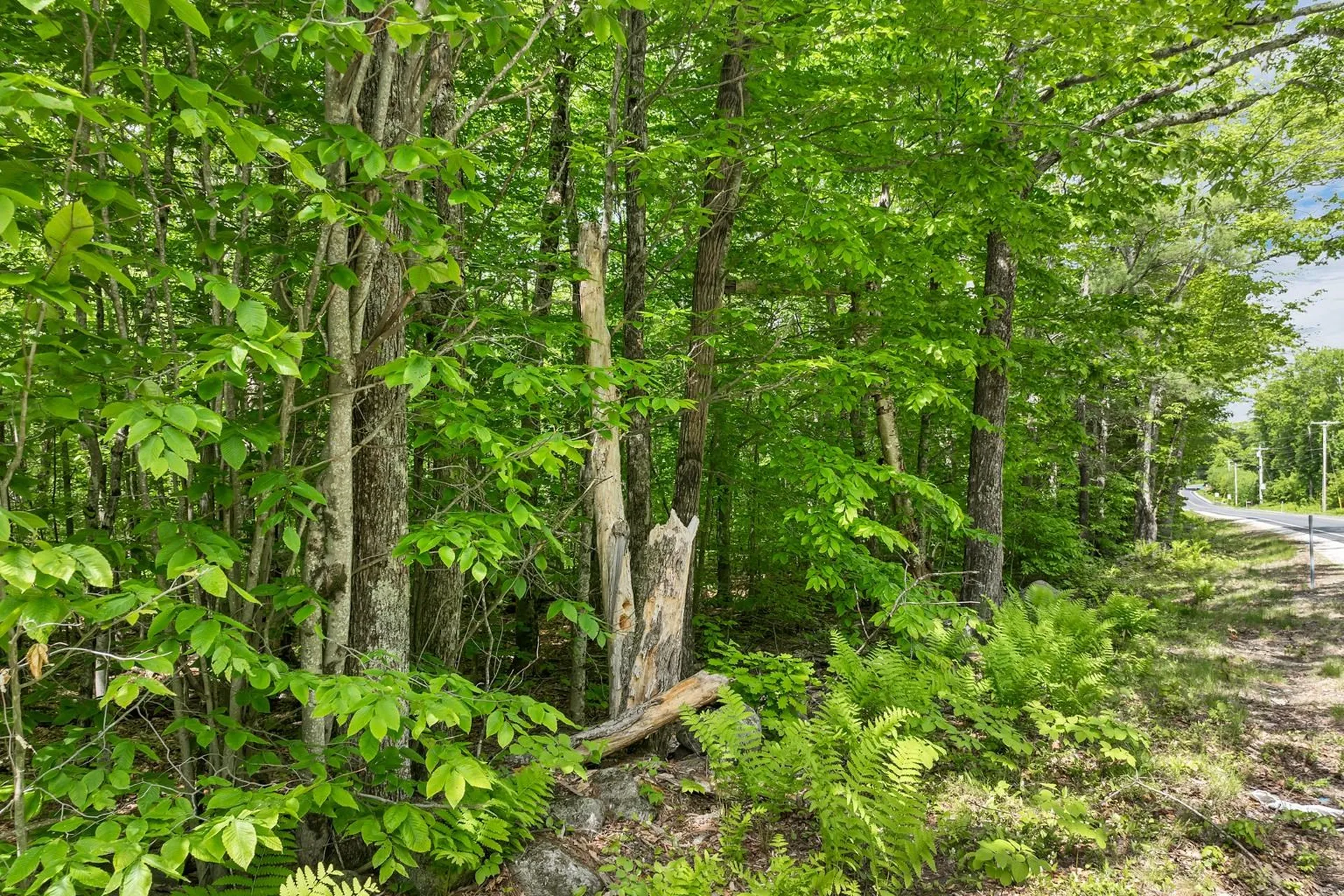 00 Old Mountain Road Moultonborough NH 03254