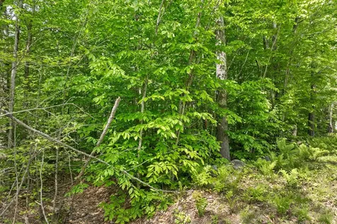 00 Old Mountain Road Moultonborough NH 03254