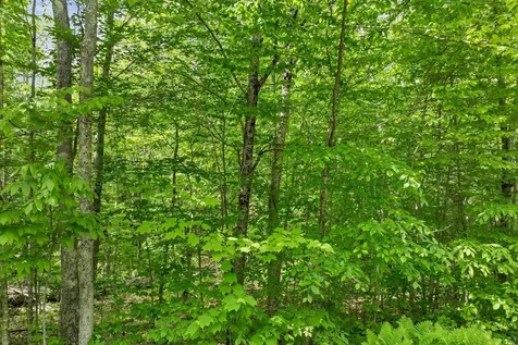 00 Old Mountain Road Moultonborough NH 03254