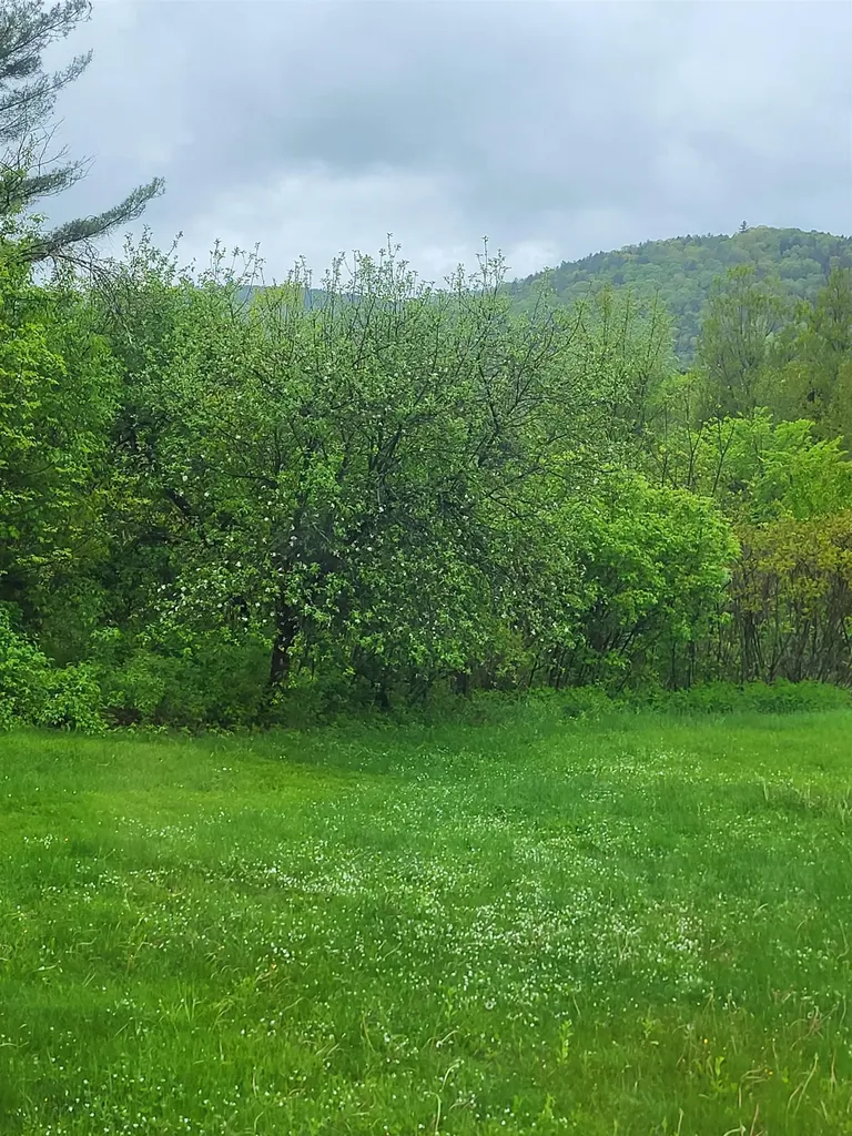 2152 Old Silo Road Barnet VT 05819