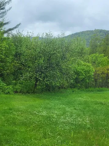 2152 Old Silo Road Barnet VT 05819