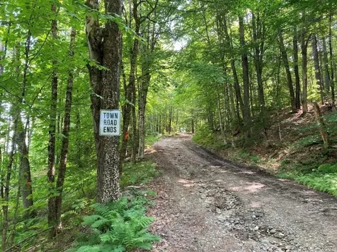 Blueberry Hill Road Grafton NH 03240