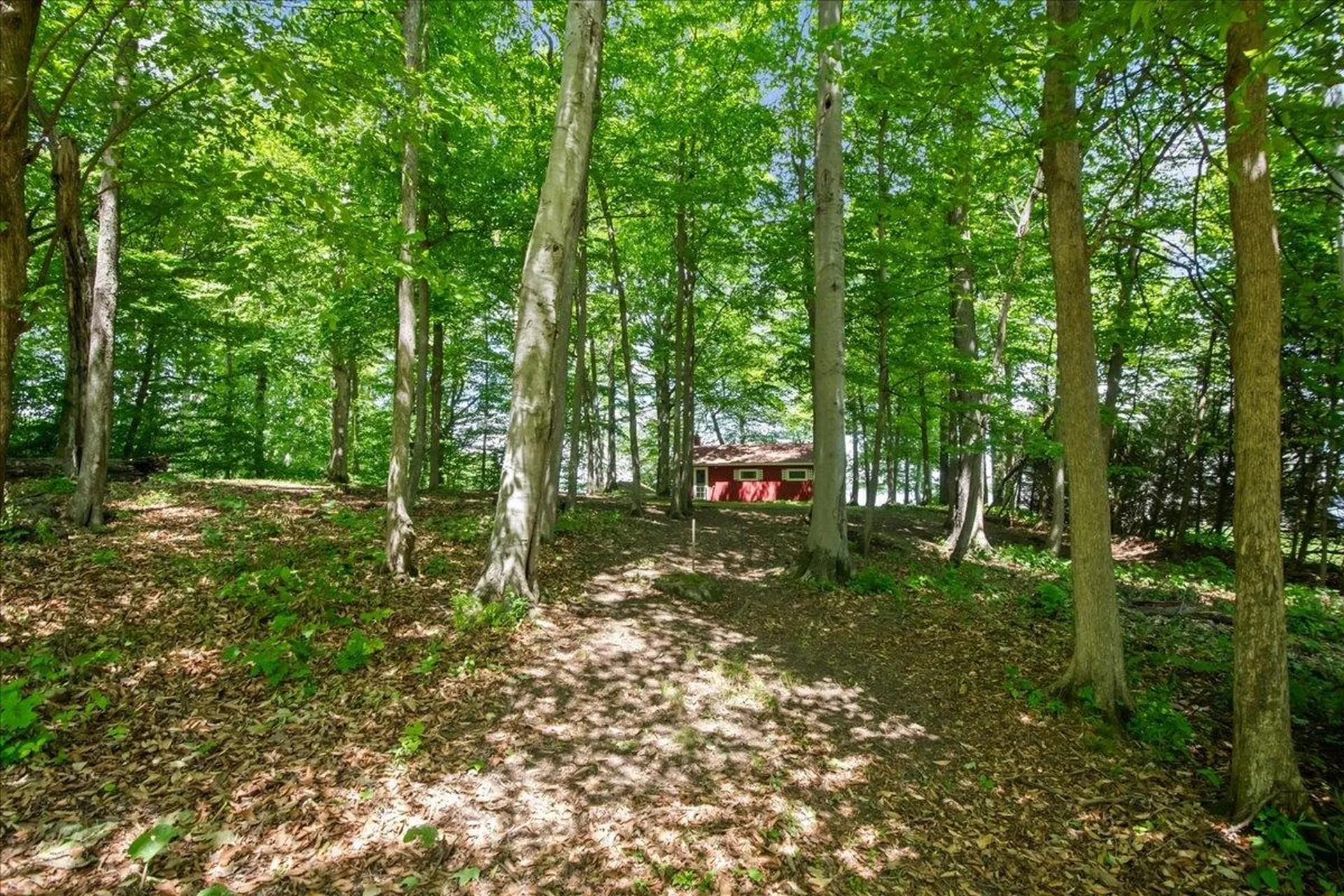 698 Savage Point Road North Hero VT 05474