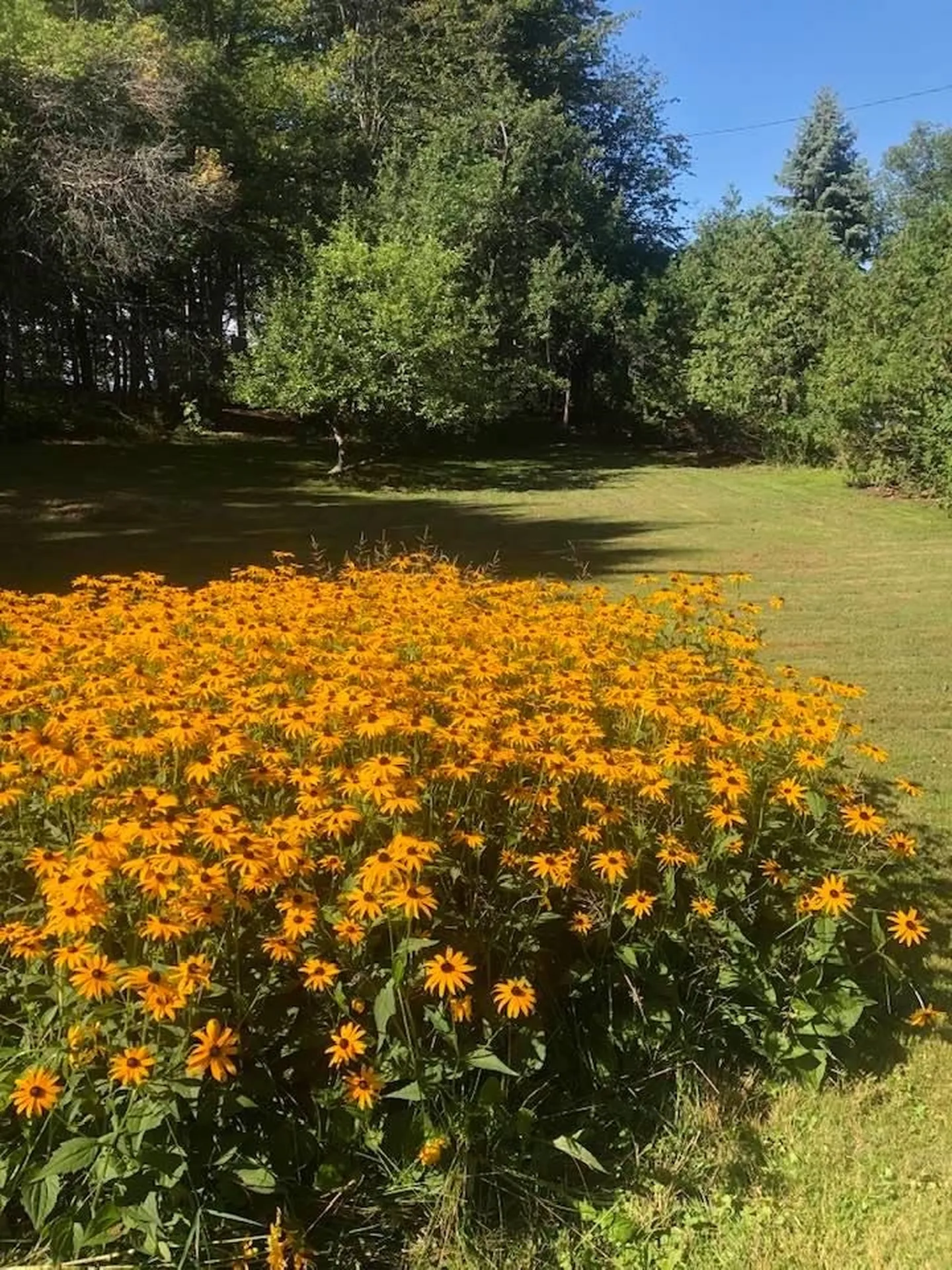 698 Savage Point Road North Hero VT 05474