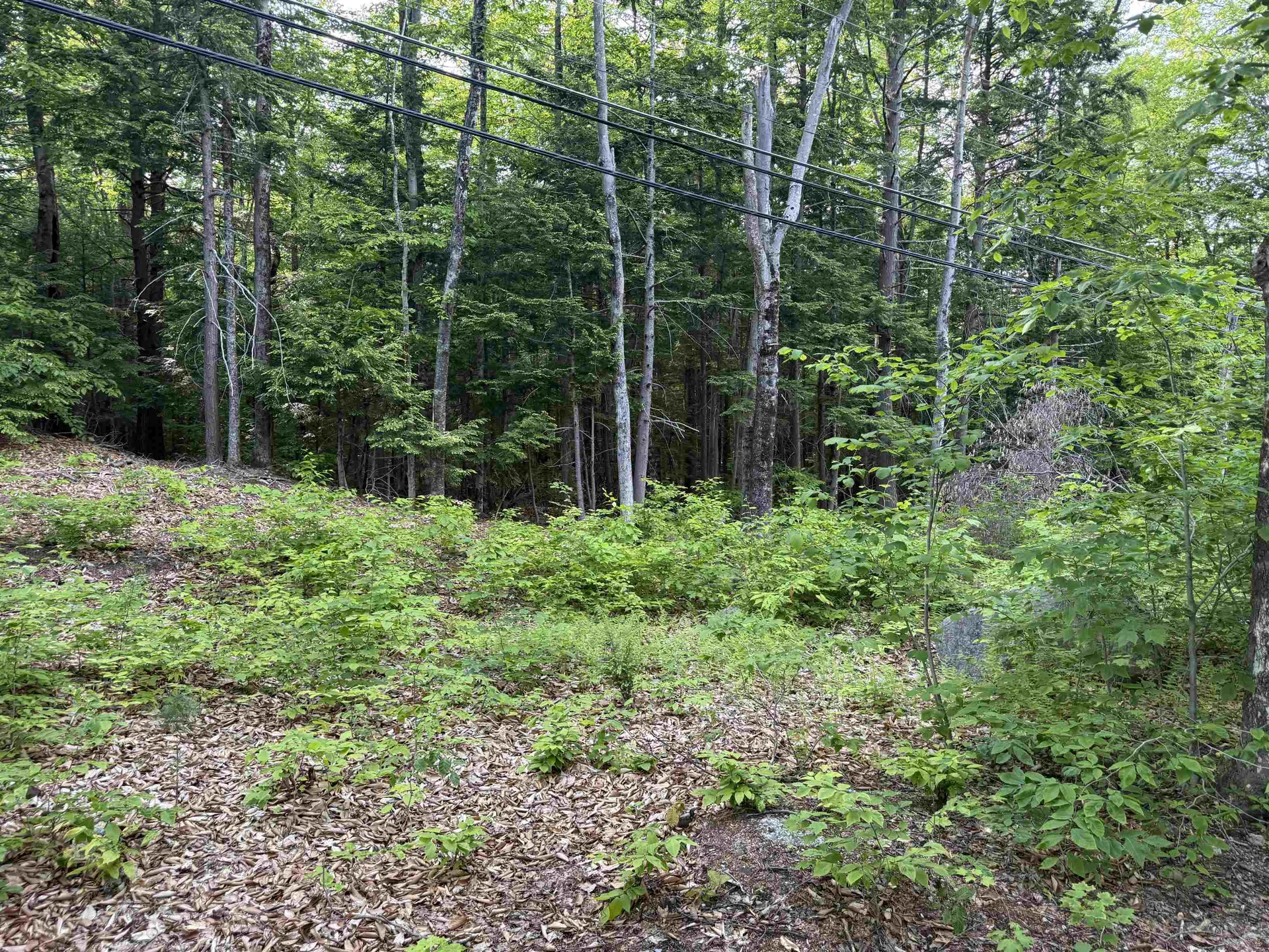 Map 5 Lot 20-4 Black Brook Road Sanbornton NH 03269