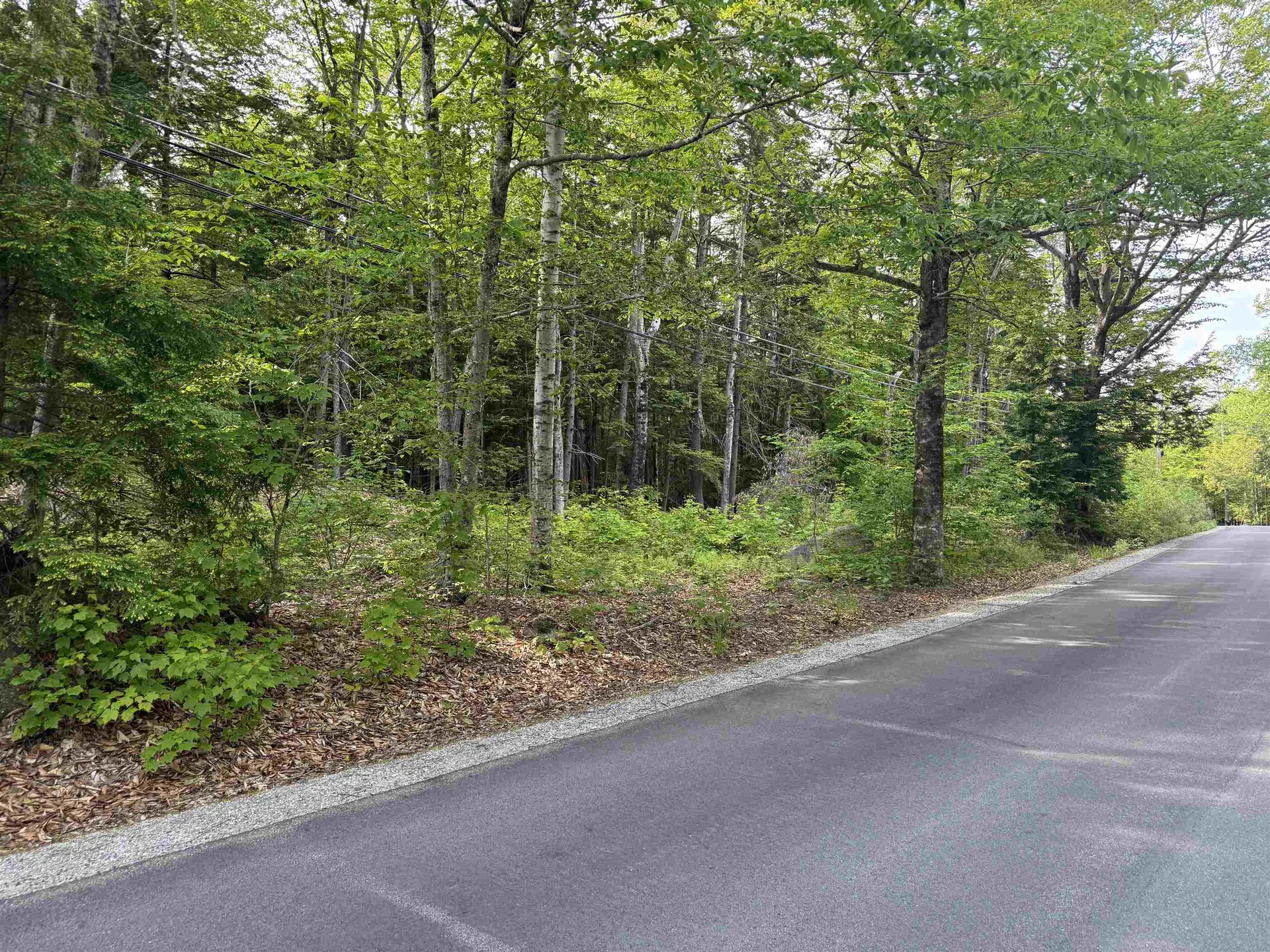 Map 5 Lot 20-4 Black Brook Road Sanbornton NH 03269