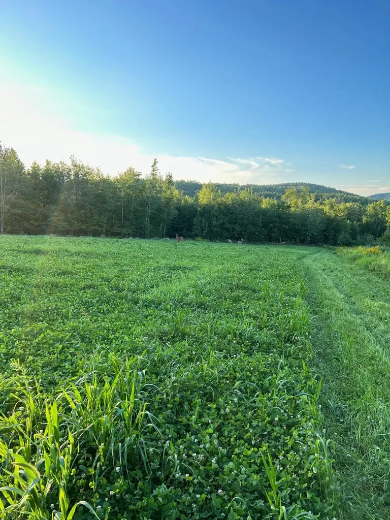 Map 7 Lot 1 Battle Street Webster NH 03303