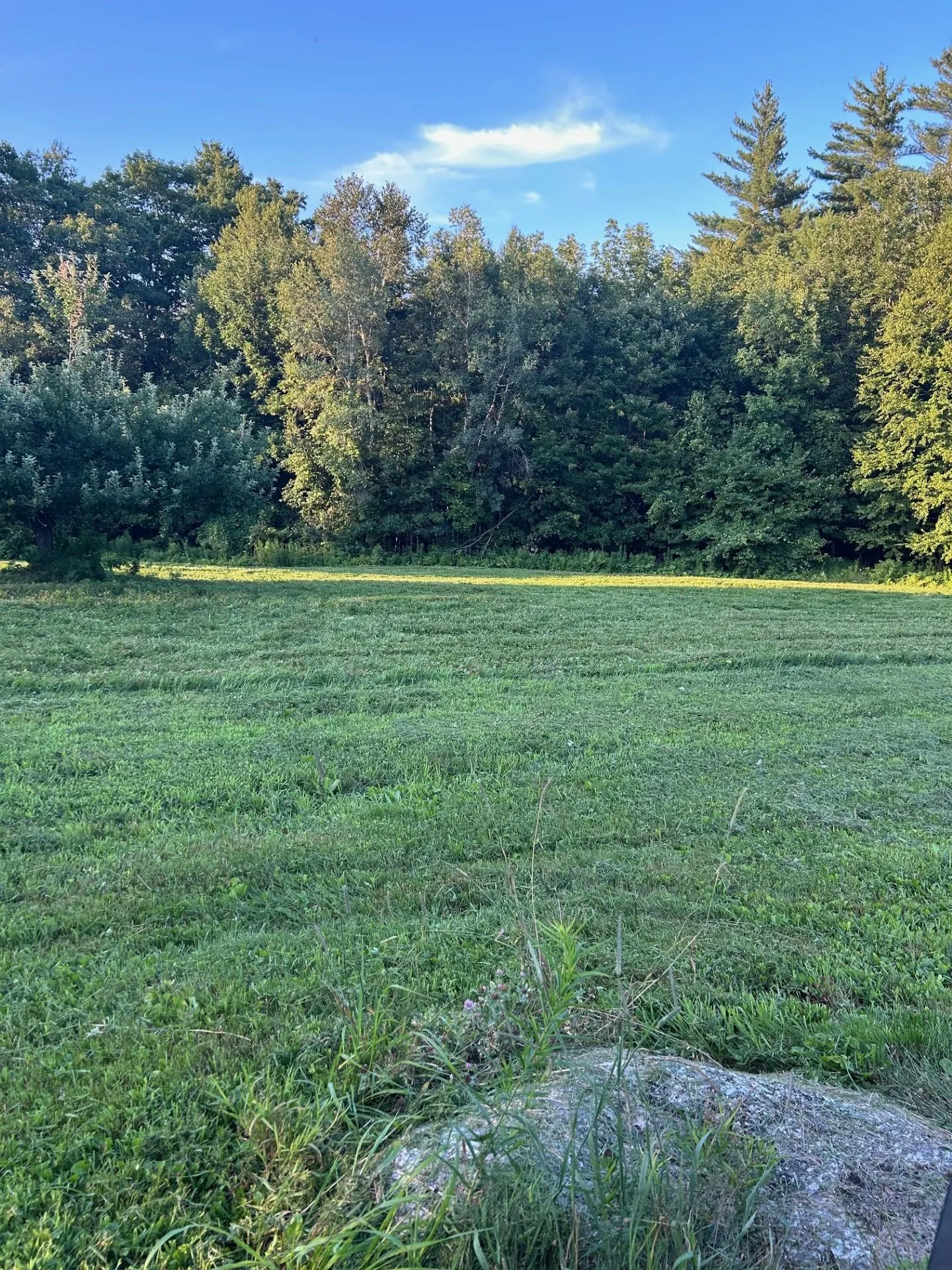 Map 7 Lot 1, 298 Battle Street Webster NH 03303