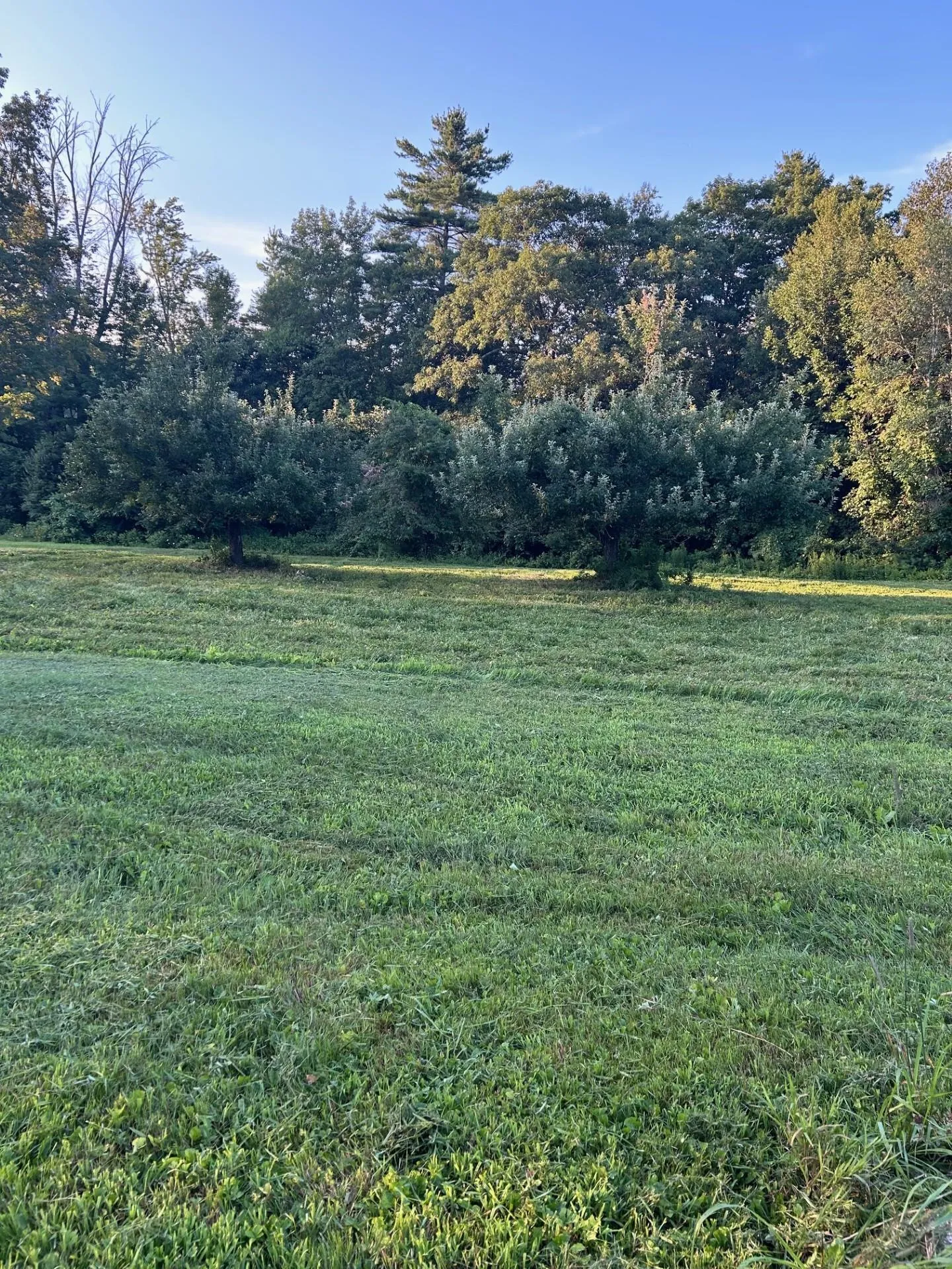 Map 7 Lot 1, 298 Battle Street Webster NH 03303