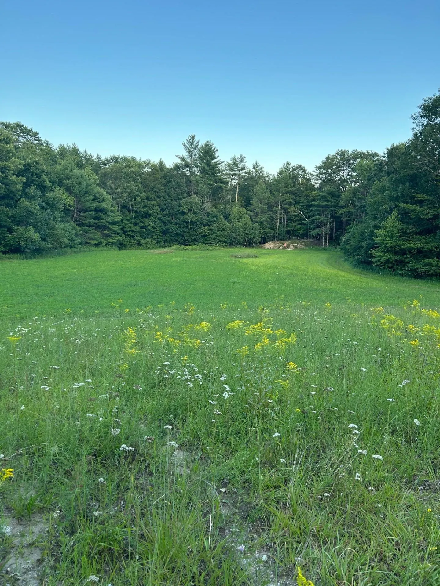 Map 7 Lot 1, 298 Battle Street Webster NH 03303