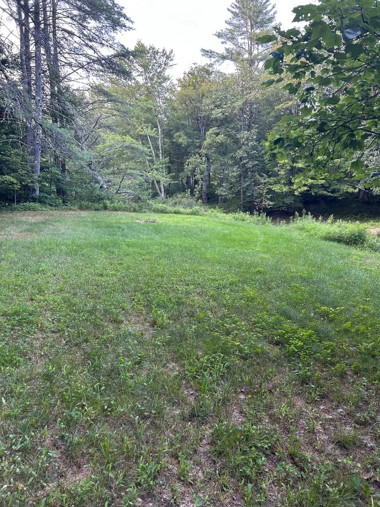 Map 7 Lot 1, 298 Battle Street Webster NH 03303