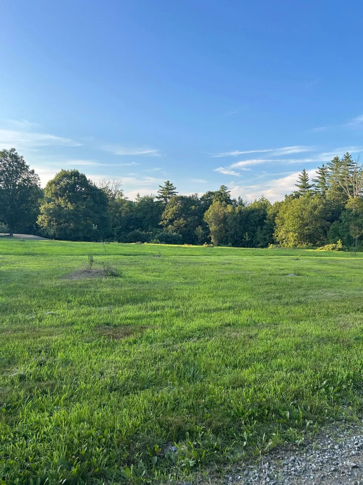 Map 7 Lot 1, 298 Battle Street Webster NH 03303