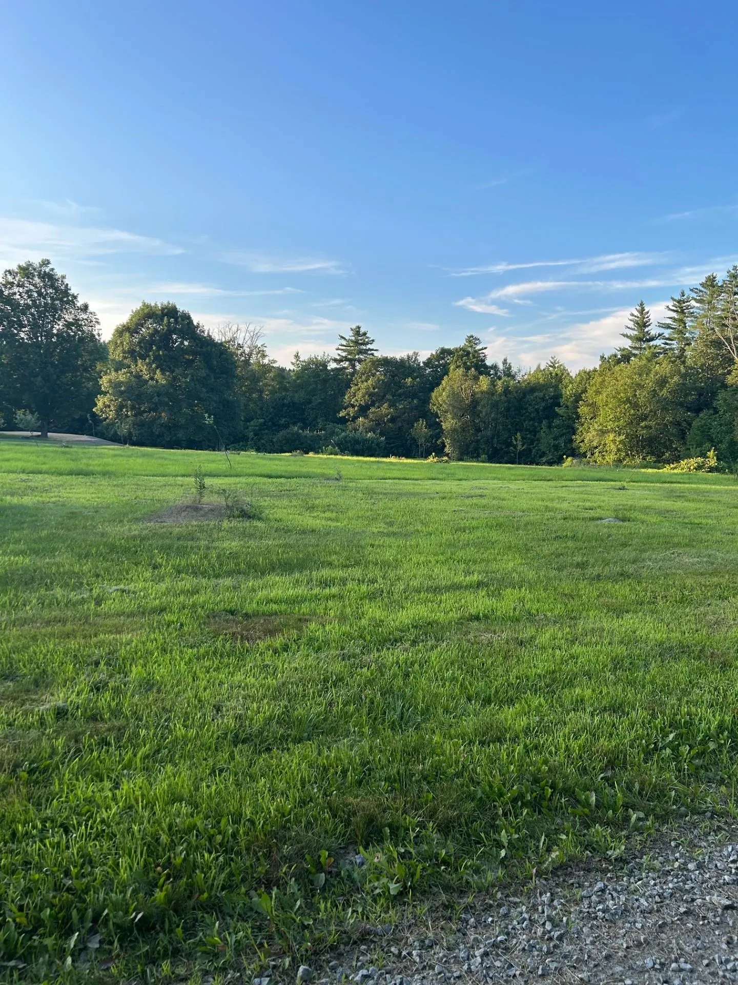 Map 7 Lot 1, 298 Battle Street Webster NH 03303