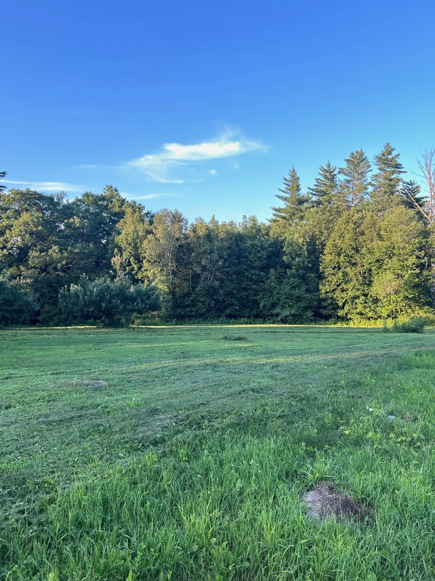 Map 7 Lot 1, 298 Battle Street Webster NH 03303