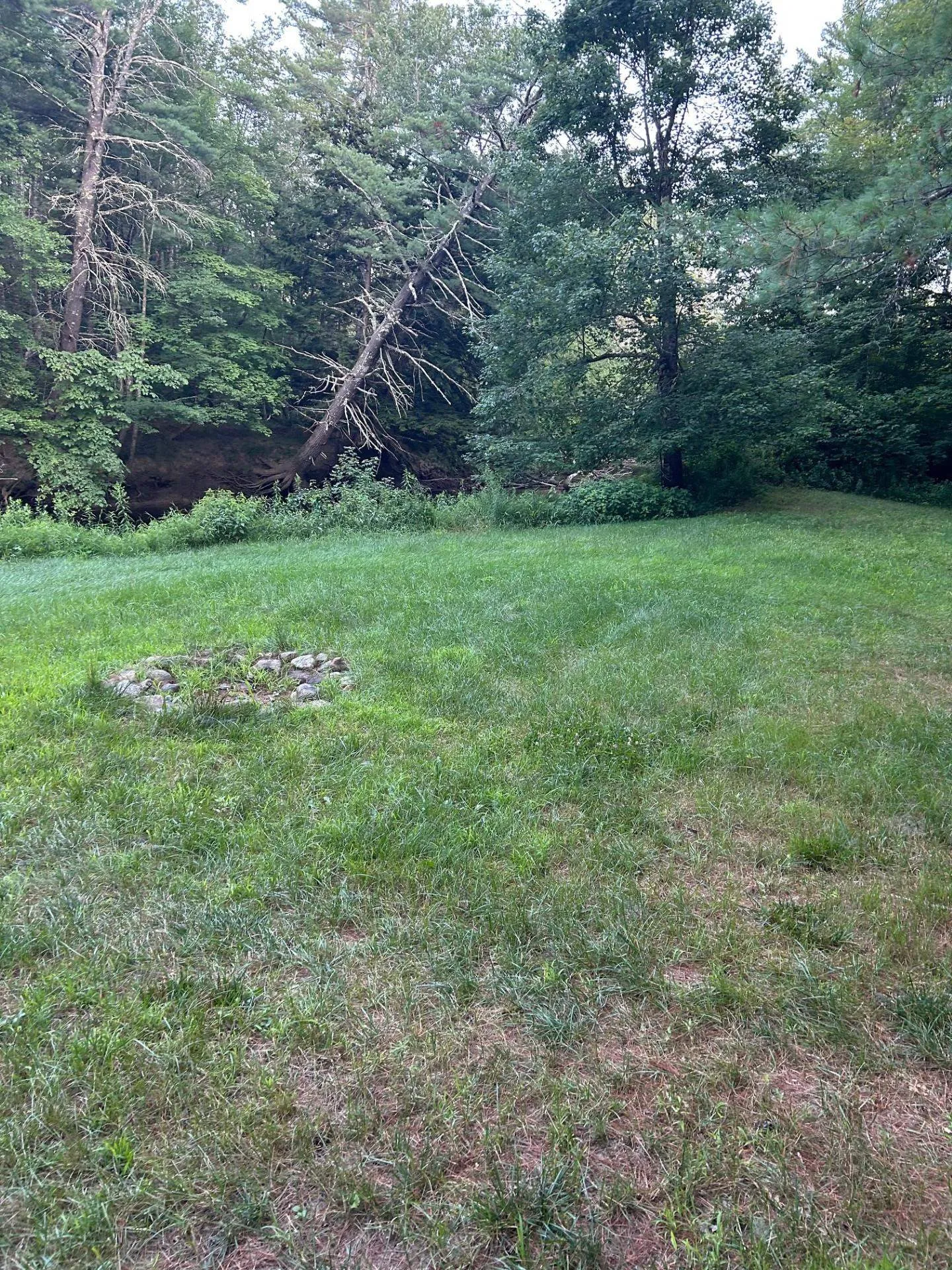 Map 7 Lot 1, 298 Battle Street Webster NH 03303