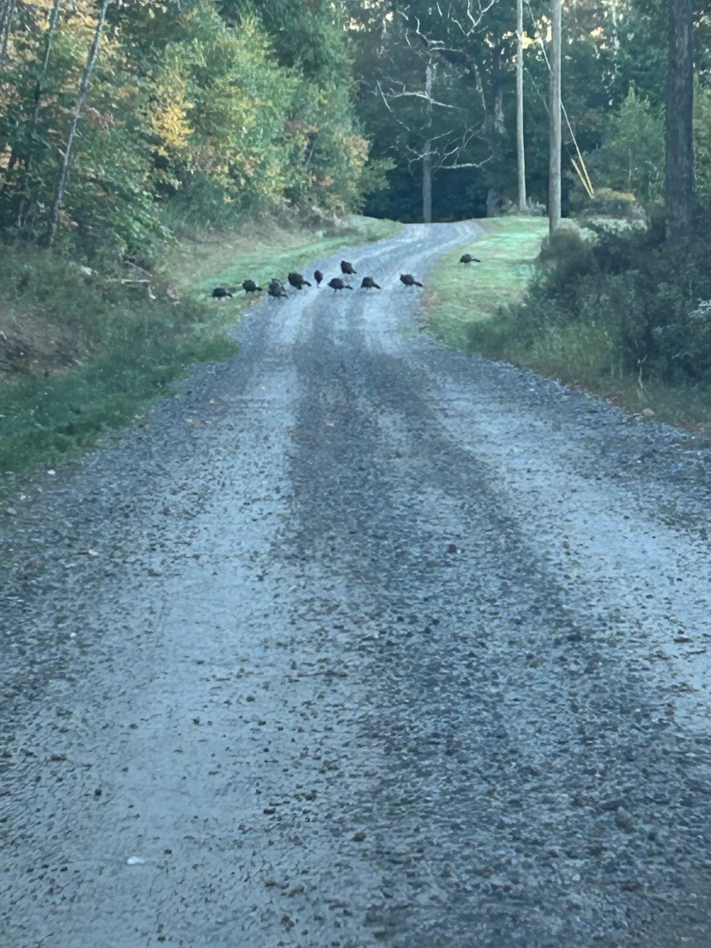 Map 7 Lot 1, 298 Battle Street Webster NH 03303