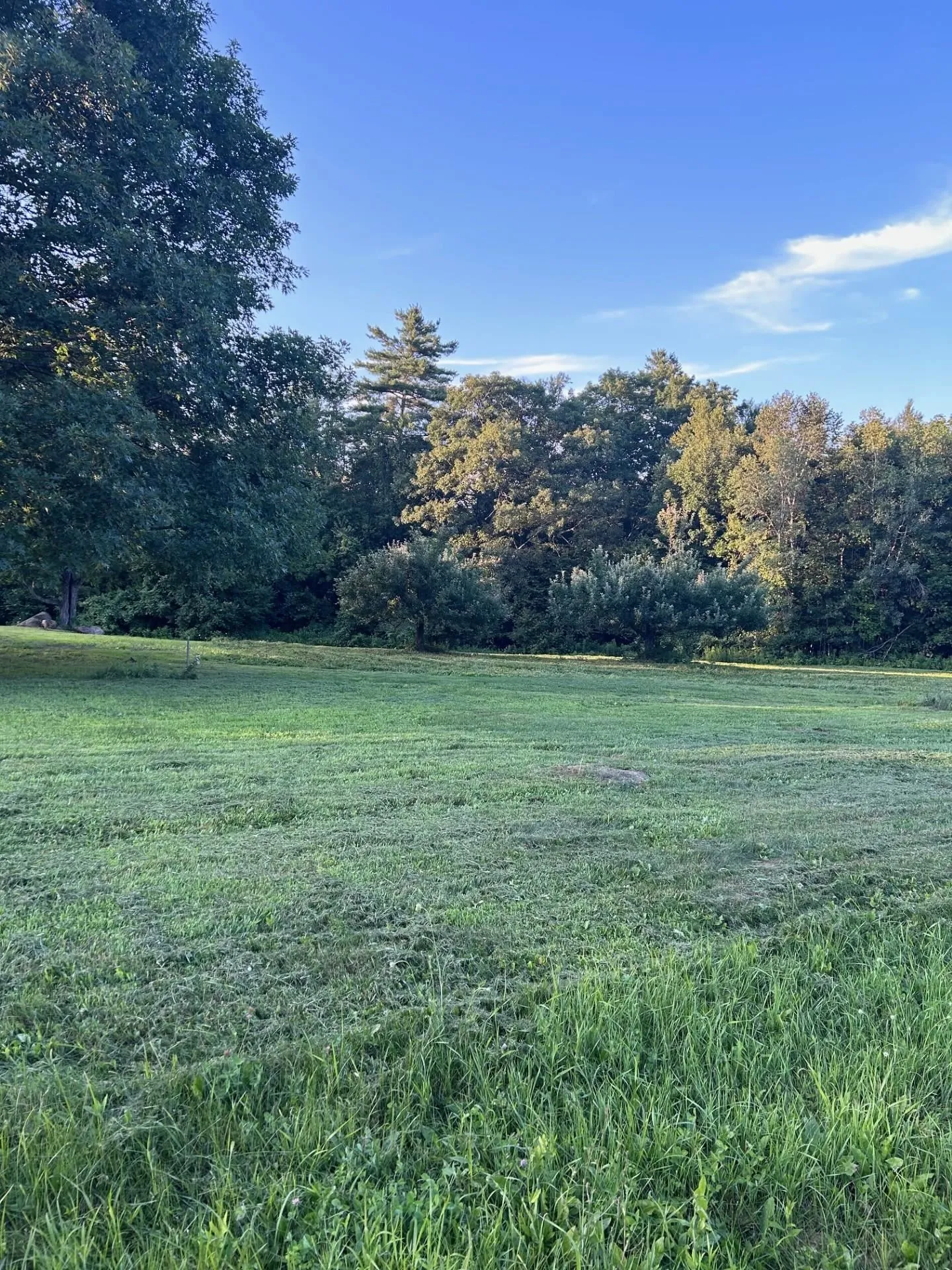 Map 7 Lot 1, 298 Battle Street Webster NH 03303