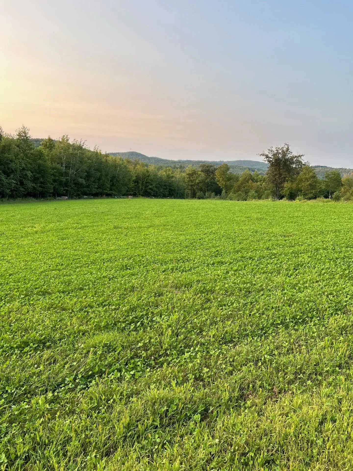 Map 7 Lot 1, 298 Battle Street Webster NH 03303