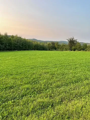 Map 7 Lot 1, 298 Battle Street Webster NH 03303