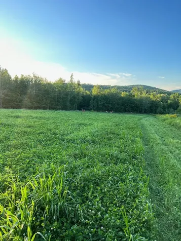 Map 7 Lot 1, 298 Battle Street Webster NH 03303