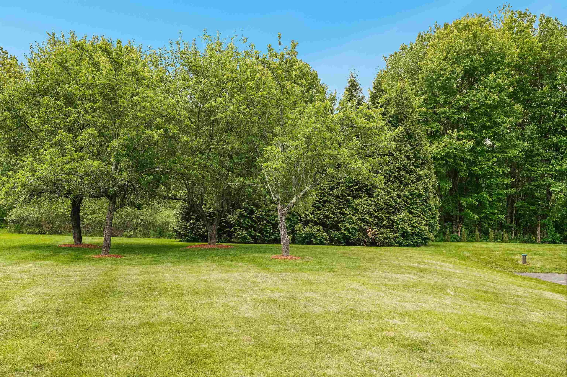 15 Orchard Park Lane Hudson NH 03051