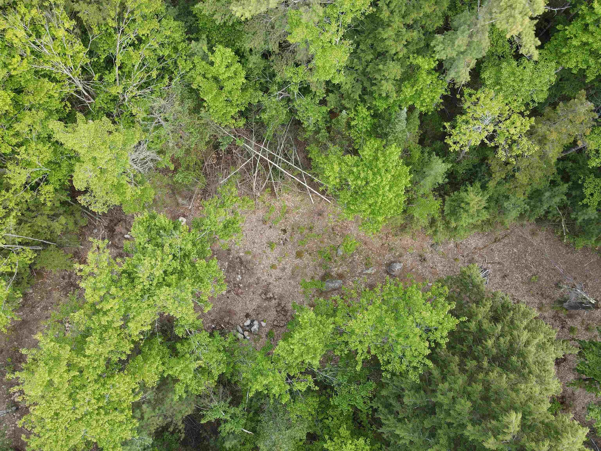 15 Adams Way Middleton NH 03887