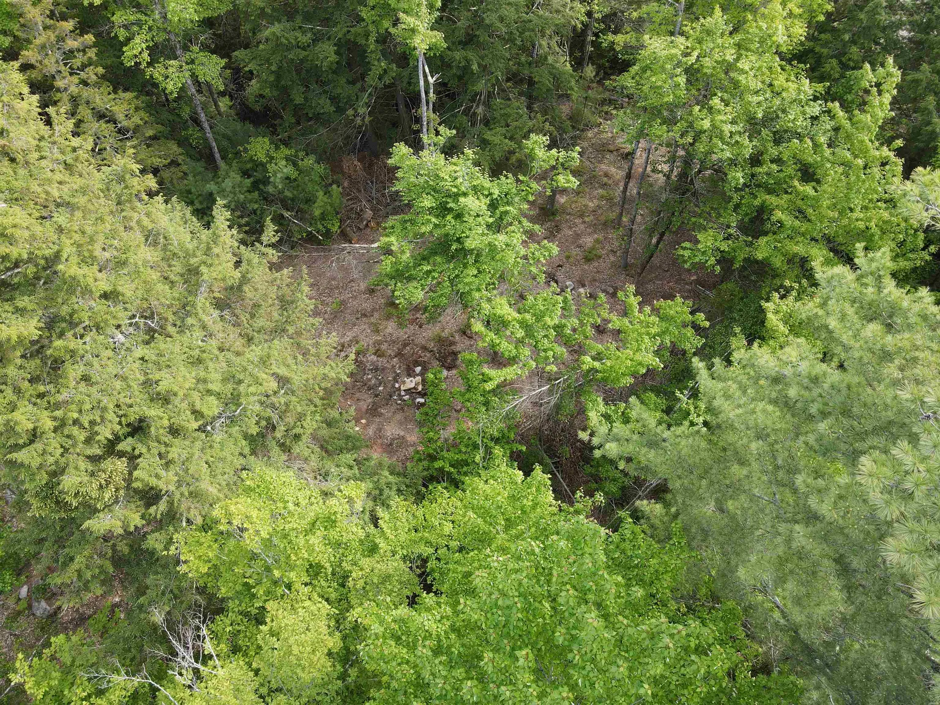 15 Adams Way Middleton NH 03887