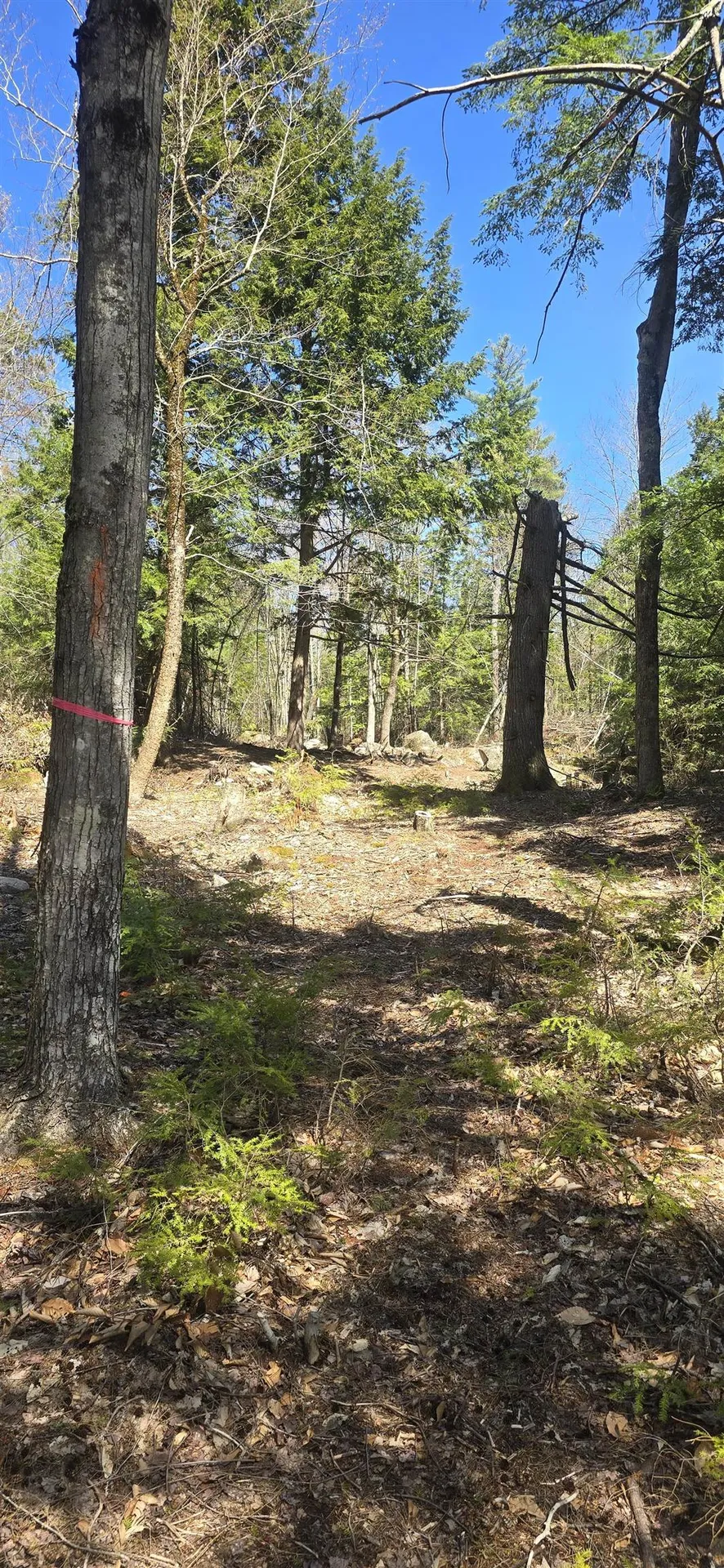 15 Adams Way Middleton NH 03887