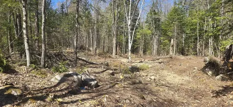 15 Adams Way Middleton NH 03887