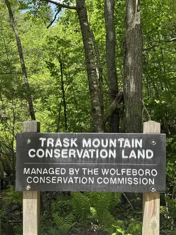 0 Trask Mountain Road Wolfeboro NH 03894