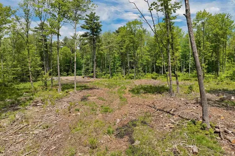 0 Trask Mountain Road Wolfeboro NH 03894