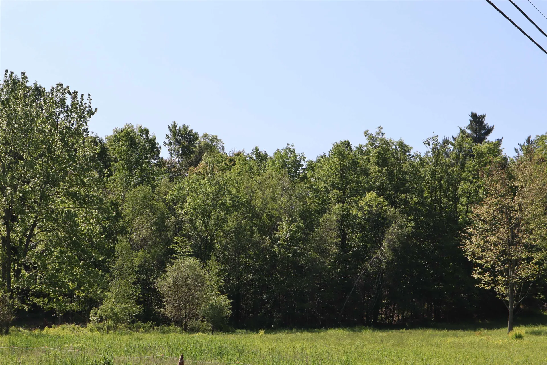 1041 Smead Road Salisbury VT 05769